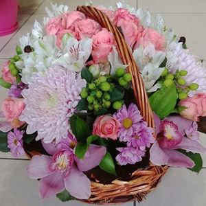 Picture of Arrangement Theano