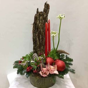 Picture of Σύνθεση Holy Night