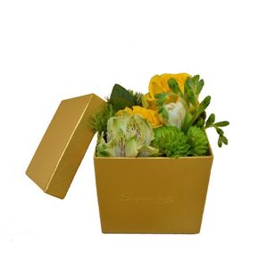 Picture of Box 0019