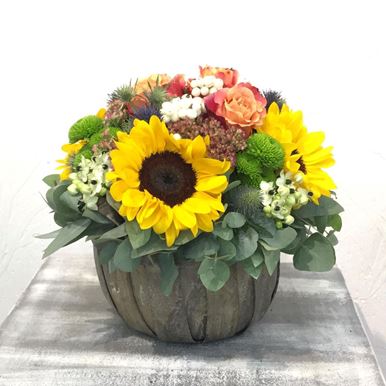 Picture of Colorful Arrangement