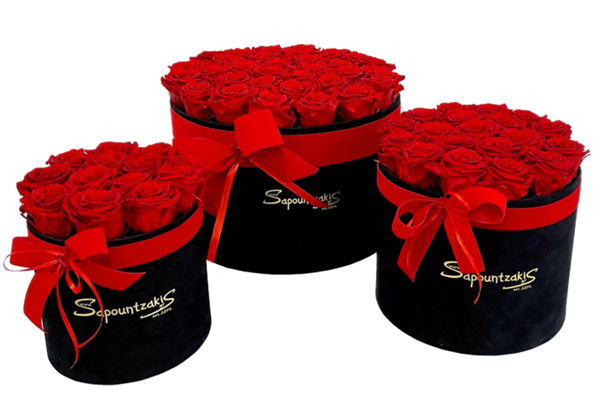 Picture for category FOREVER ROSES BOXES