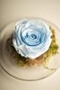 Picture of Forever Rose Light Blue Small