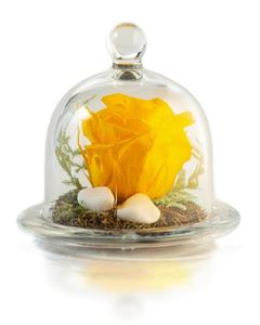 Picture of Forever Rose Yellow Small