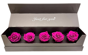 Picture of Box Five Light Fuchsia