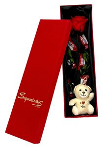 Picture of Box Rose, Teddy, Choco