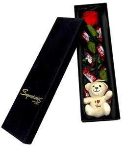 Picture of Box Rose, Teddy, Choco