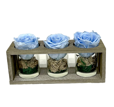 Picture of Wooden Base 3 Forever Light Blue