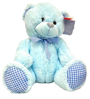 Picture of Teddy Bear Blue