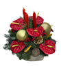 Picture of Arrangement Xmas 015