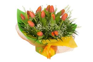 Picture of Bouquet Tulips