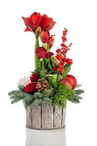 Picture of Arrangement with Amaryllis
