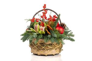 Picture of Christmas Arrangement 4