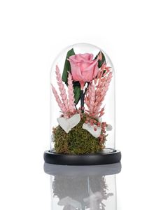 Picture of Beauty & The Beast Pink Small