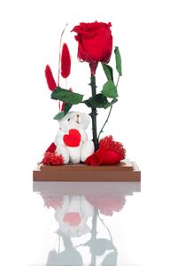 Picture of Beauty & The Beast Terrarium Red Small