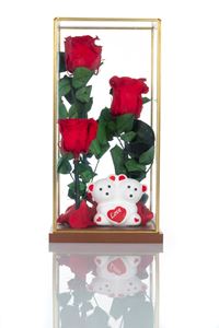 Picture of Beauty & The Beast Terrarium Red Big