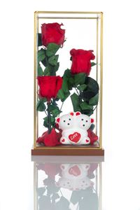 Εικόνα της Beauty & The Beast Terrarium Red Μεγάλο