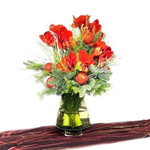 Picture of Christmas Amaryllis Bouquet in a Vase Νο.167