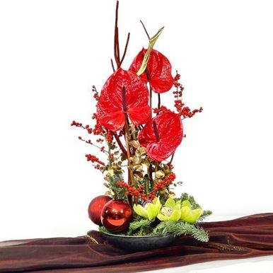 Picture of Arrangement Fiery Beauty No.686