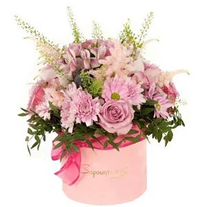 Picture of Box Lilac