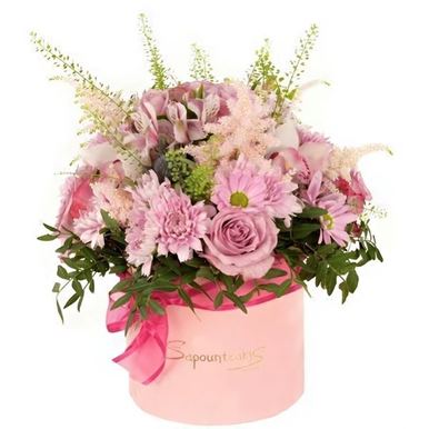 Picture of Box Lilac